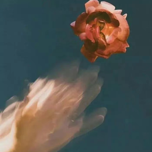 粗大的玉茎挺进寡妇的里面
