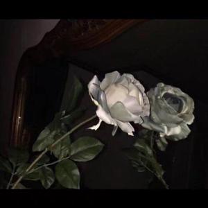 粗大的玉茎挺进寡妇的里面
